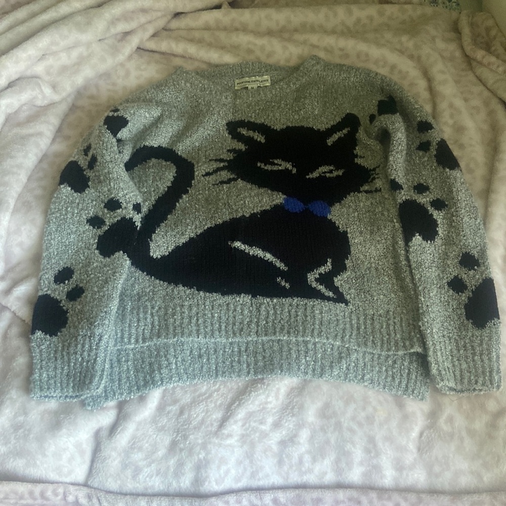 CUTE SWEATER FOR GIRLS! With a cat on it.